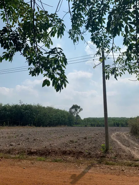 còn 1 lô minh thạnh-tphcm giá đầu tư.