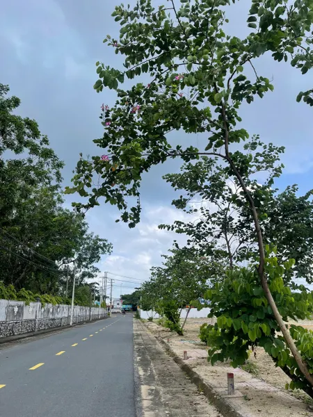 Đất Nền Phú Mỹ Phường Phước Hòa TP Phú Mỹ 5*28