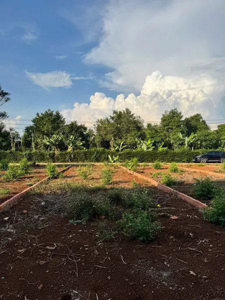 Bán đất 114.1m² giá 550 triệu Xã Cuôr Đăng