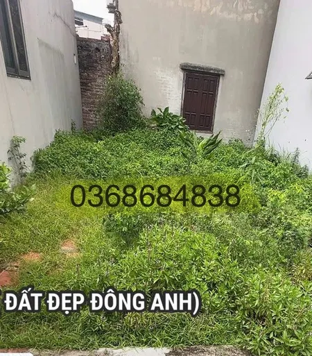 Bán đất 42m² ngang 5m giá 3.35 tỷ Xã Phúc Thịnh