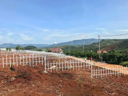 đất nam hà giá siêu rẻ cần bán gấp