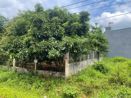 Bán đất 106.1m² giá 910 triệu Phường Tân An