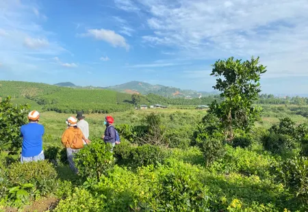 Bán đất đại lào Phường 3 Bảo Lộc