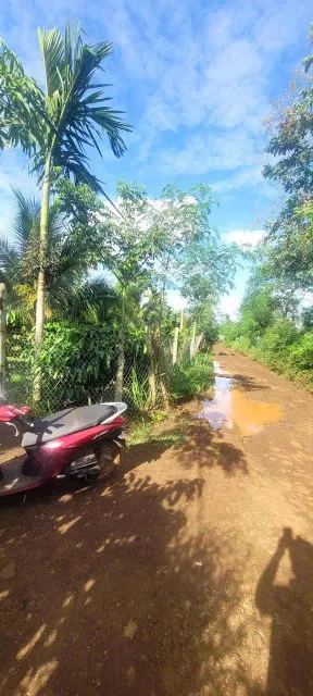 Bán đất 3500m² ngang 19m giá 2.8 tỷ Xã Cuôr Đăng