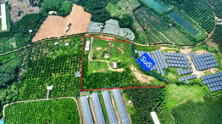 Đất giáp suối - chủ ngộp cần bán nhanh
 Phú Ngọc - Định Quán- Đồng Nai 

- Dt: 32.000m2💰 250 triệu / sào

 + 2 căn nhà cấp 4 tiện nghi, điện 3 pha, kết nối Wifi -   4 cái giếng -1 ao cá hơn 1000m2
 + Vườn cây mít thái hơn 200 cây.
— Đường xe hơi- x