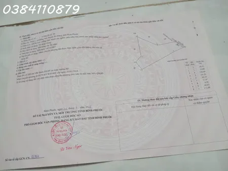 6HA CÓ CAO SU TRỒNG SẴN GIÁ 2 TỶ