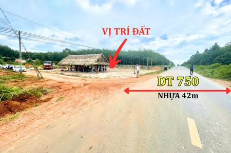Bán đất 230m² ngang 5m giá 1.13 tỷ Xã Long Hòa