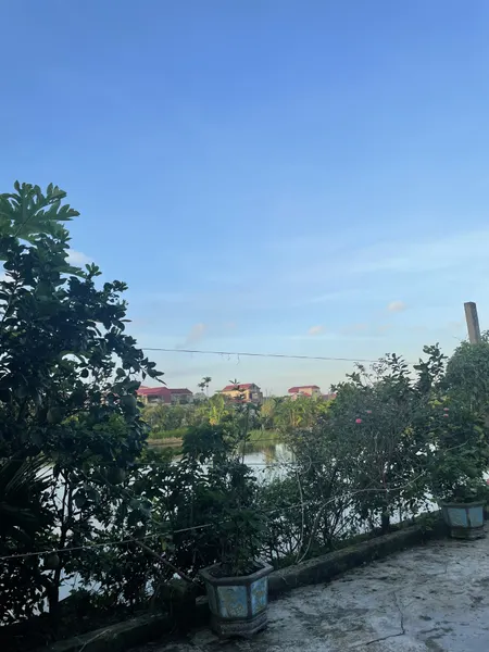 Bán đất tại xã Ý Yên, Ninh Bình (Yên Bằng)