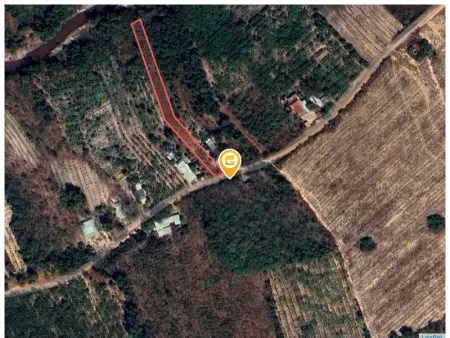 Bán đất 1820.6m² ngang 10m giá 1 tỷ Xã Long Hòa