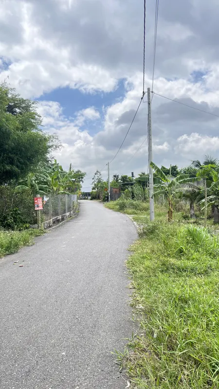 Bán nhà Phước Thuận view cánh đồng tuyệt đẹp. Đất rộng làm nhà vườn