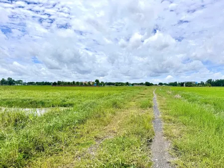 Bán đất 1718.5m² ngang 5m giá 680 triệu Xã Mỹ Hạnh