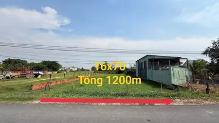 Bán đất 1200m2 có 300m2 thổ cư, 1/ TL 825, Đức Hoà, Long An