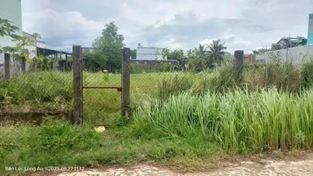 Bán 1600m2 có 1200m2 thổ cư, ngang 21m nở hậu phong thủy, cách đường Mỹ Yên - Tân Bửu 500m