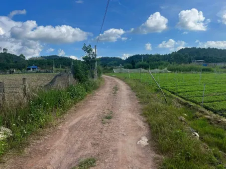 Đất Nông nghiệp Đức Trọng Lâm đồng. 5sào 2 đường đất