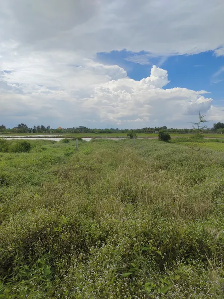 Cần bán lô đất 175m2 full thổ cư, cách liên xã Long Hoà - Phước Vân 100m, Cần Đước, Long An, giá đầu tư
