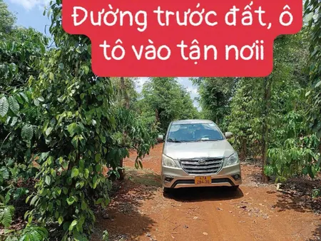Bán đất nông nghiệp 2 mặt tiền View Hồ 532.9m² ngang 6m giá 199 triệu Xã Ea Kiết