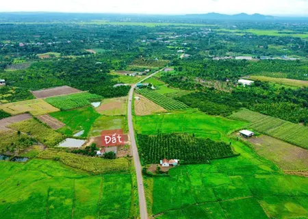 Bán đất Buôn Mê Thuột mt kinh doanh