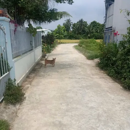 Bán đất Thôn 3, Diên An, Diên Khánh