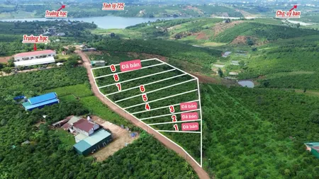 Chỉ còn duy nhất 3 lô 1000m2 sẵn 100m2 thổ cư view hồ mặt tiền đường bê tông ôtô tới đất view thoáng đẹp