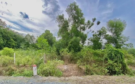 Đất mặt tiền Cao Thị Đậu Phú Mỹ Hưng củ chi