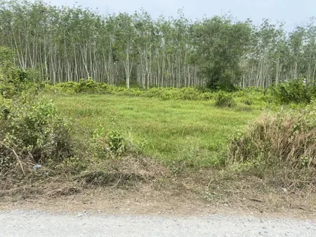 Siêu phẩm đất vườn mặt tiền Cao Thị Đậu Phú Mỹ Hưng củ chi
