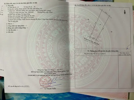 Bân đất cẩm mỹ