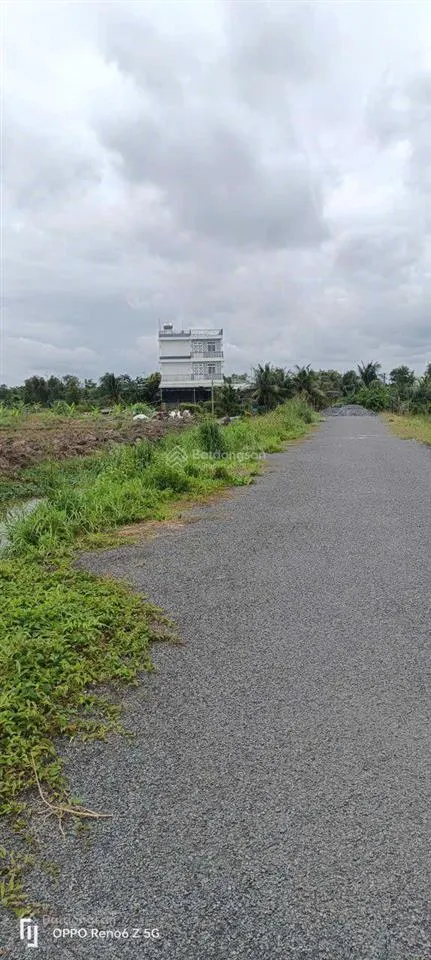 Bán đất giá rẻ tại bình chánh 2.500m2 mt kênh 8