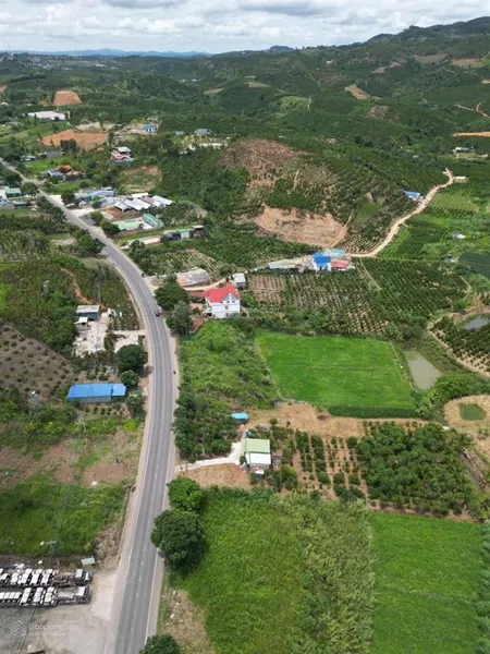 Mặt tiền quốc lộ 20 50m ngang xã ninh gia thuận tiện kinh doanh mr chí thiện bđs