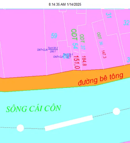 Nền phường Tân Ngãi