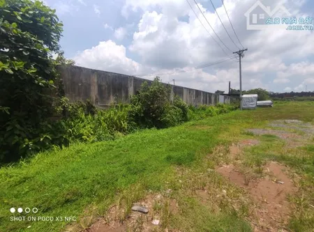 * Cho thuê đất*1000m2- 3000m2- 15.000m2 Nguyễn Xiển, Long Bình, Quận 9