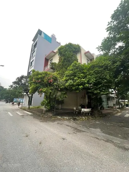 Lô góc đấu giá kiến hưng, hà đông 65m2 x 4t x mt 20m view công viên, đối diện mầm non hàng đào