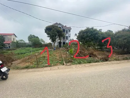 Bán đất 100m² ngang 5m Mặt đường nhựa liên thôn  giá 2.9 tỷ Xã Sóc Sơn