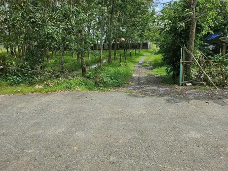 (S744) Đất 1/ Hà Thị Kiểm, xã Phú Mỹ Hưng, dt 500m2, giá bán nhanh 980 triệu bớt lộc