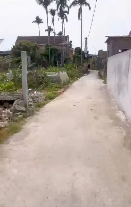 Bán 65m đất ngay Gốc Đa Minh Tân