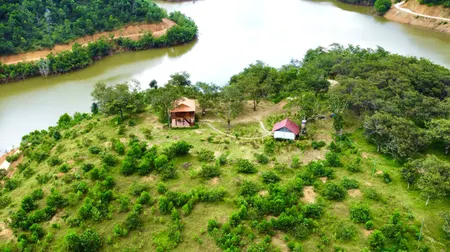 BÁN 5HA LÂM NGHIỆP GIÁ CHỈ 1,6TỶ