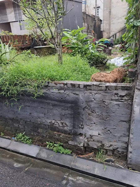 Bán 81m2 đất Vạn Lộc xã Đông Anh giá chỉ 7,x tỷ full thổ cư đẹp