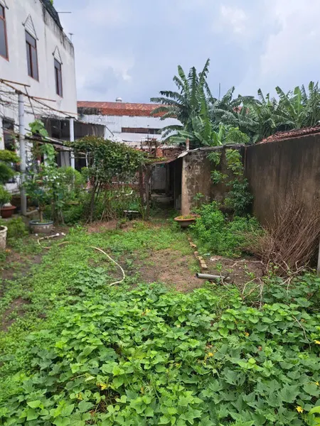 Bân đất cây Da, Tân Đông Hiệp, Dĩ An
