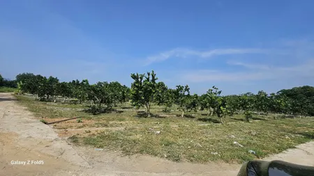 CƠ HỘI VÀNG: ĐẤT NỀN YÊN THỦY – HẠ TẦNG SẴN, Ô TÔ VÀO TẬN NƠI
