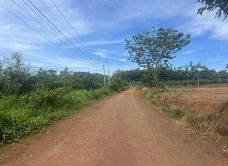 CẦN BÁN ĐẤT CHÍNH CHỦ - ẤP 4, XÃ THANH HÒA, HUYỆN BÙ ĐỐP, BÌNH PHƯỚC