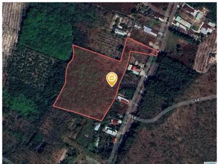 Bán đất 17063m² giá 21 tỷ Phường Long Nguyên