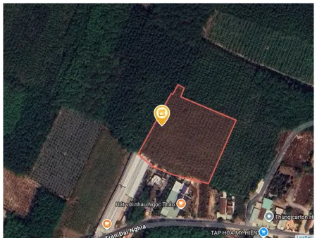 Bán đất 2000m² ngang 20m giá 6.5 tỷ Phường Hòa Lợi