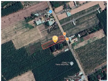 Bán đất 1947.2m² giá 17 tỷ Phường Tam Phước