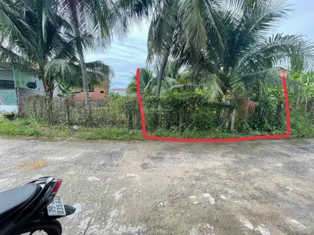 Cần bán gấp lô đất diên sơn mặt tiền kinh doanh cực đẹp