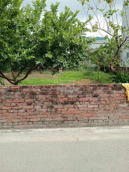 Bán đất mặt phố bát khối long biên 245m2, mặt tiền 11m2, kinh doanh tốt, gần công viên, giá 44.4 tỷ