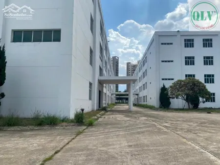 Cần Bán Nhà Xưởng Mới Xây Tại Kcn Việt Hương 1, Thuận An, Bình Dương Diện Tích Sử Dụng 31.488M²
