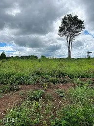 ► Bán đất tại xã Đắk R’la, huyện Đắk Mil, Đắk Nông
