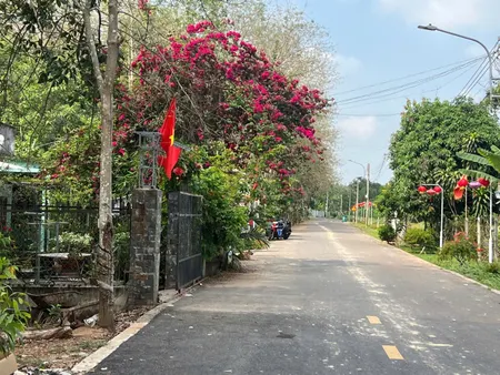 Bán đất 225m² ngang 5m giá 900 triệu Xã An Long