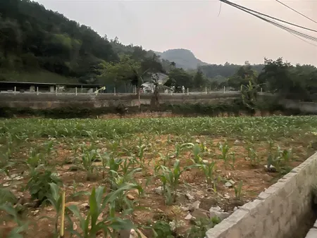 Mảnh đất nghỉ dưỡng yên sơn, ba vì mặt tiền nhiều, vị trí gần chân núi ba vì, không khí trong lành