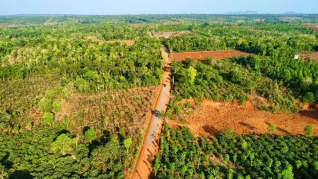 ĐẤT VIEW HỒ – GIÁ CHỈ 215 TRIỆU
Xã Ea H’Đing, H. Cư M’gar, Đắk Lắk
📏 Diện tích : 848m2 – Đất bằng phẳng, cách hồ chỉ 100m,