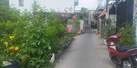 Bán đất 195.3m² ngang 16m giá 5.75 tỷ Xã Đông Thạnh